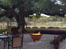 A Zebra game farm