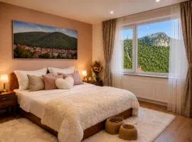 JOHN RESIDENCE BRAȘOV Apartments with Mountain View & Parking Option, Modern Studio in Old Town