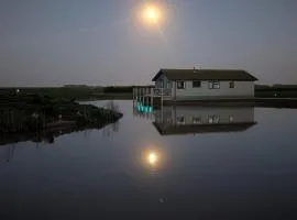 Bee Lodge