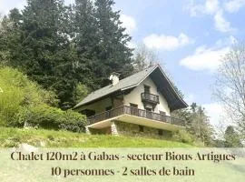 Chalet 10 personnes à Gabas, proche Bious Artigues