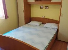 Tamaris