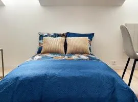 Cozy Saumur, Hyper centre