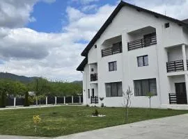 La Scoabă