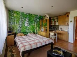 Apartmán Brezy