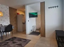 Ramfjord Apartment 2