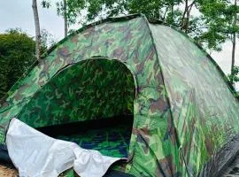 Sinharaja Eco Camp