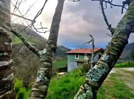 El Rincón De La Naturaleza