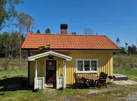 Dalslands-torp nära vattnet