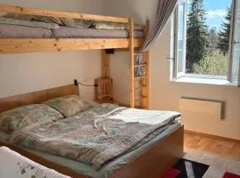 Apartmán Meluzína