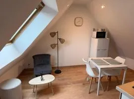 Appartement cosy en centre ville