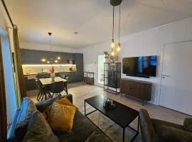 New Modern Apartment With Garage