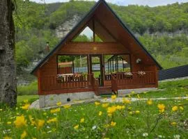 Kinchkha cottage Fshuqebi - კინჩხის კოტეჯი ფშუქები