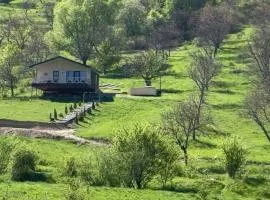 VaavHouse