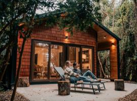 Cabañas Parque Futangue – hotel w mieście Lago Ranco