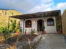 badissi house