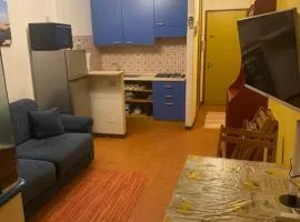 Bibione Landora Nummer 141