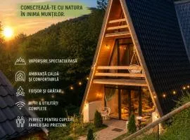 Cabana Aframe Blidari