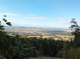 Domi pod Dębiną