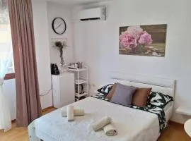 Rooms and Studio Salvi