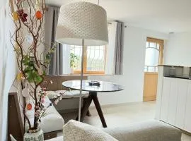 "Vignoble & jardin - Parking privé" à Riquewihr