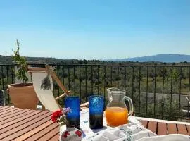 Horizon House, with Olive Grove and a small Vineyard