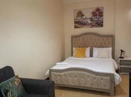 Executive Express Rooftop Pool suites- Ngara