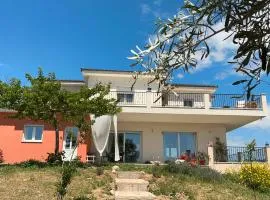 Horizon House, with Olive Grove and a small Vineyard