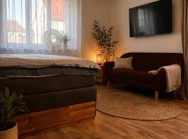 Apartmán u Fary