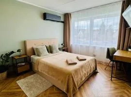 Cozy Studio Apartment