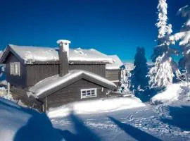 Trysilfjellet Nord 1111B