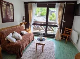 Charmant studio au pied des pistes