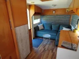 Retro Caravan auf Tierschutzhof am Wald