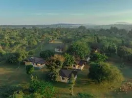 The Wild Forest Resorts