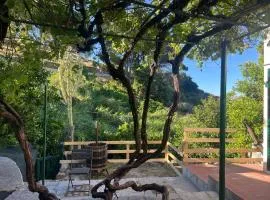 La Finestra sul Mare - Goelba
