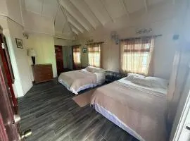 Downtown Roseau Stay Near Ferry, Stadium & Bustops