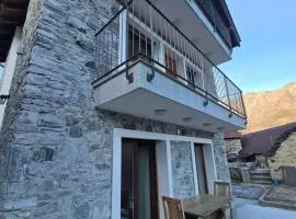 Rustico Musta