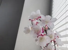 Leineapartments