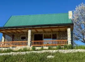 Bratosavina North House