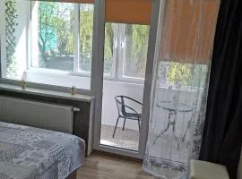Amber Stay Birštonas