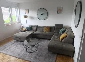 Vaste appartement avec parking gratuit, borne dispo et espace de travail