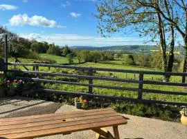 Hyssington Heights