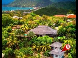 Les Nids Tropicaux