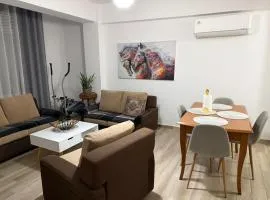 Old Town Boulevard apartment in city center