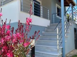 Ada's House 2