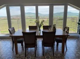APARTMÁNY - Archivní sklep
