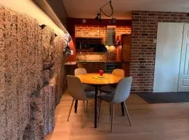 Granit, loft-asunto kallion syleilyssä, ilmainen parkki ja sauna