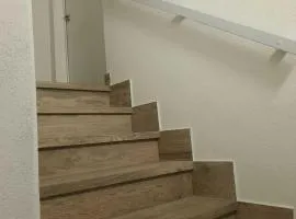 Il Timone e L'Ulivo