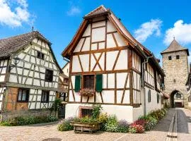 Maison de ville alsacienne sur la route des vins
