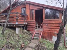 Cabana trenulețelor