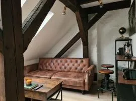 Heritage Beam Loft Brno